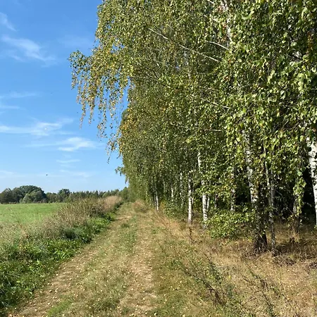 Skarpa Za Miastem Wielowies (Ilawa)